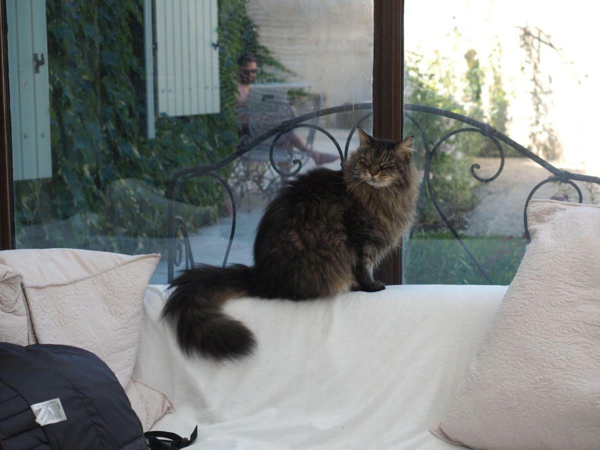 Le Chat Sur Le Toit Lourmarin Exterior foto